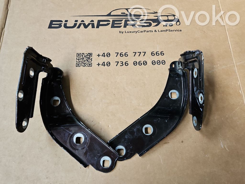 Porsche Cayenne (92A) Balamale capotă 
