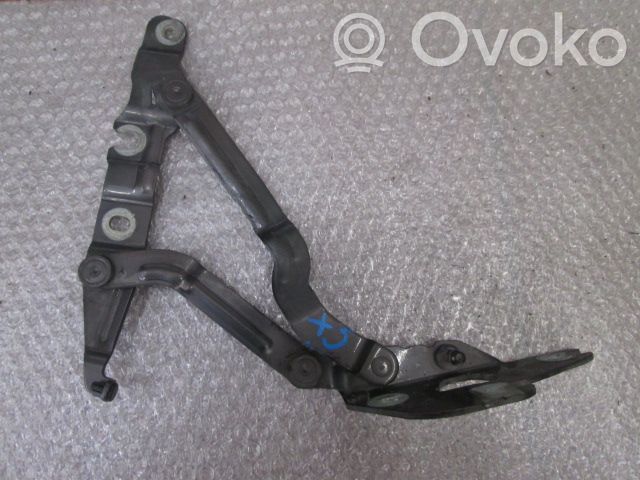 Tailgate/trunk/boot hinge   4B5827301E