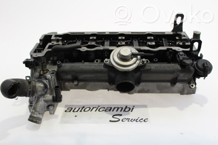 Galvutė   5607028