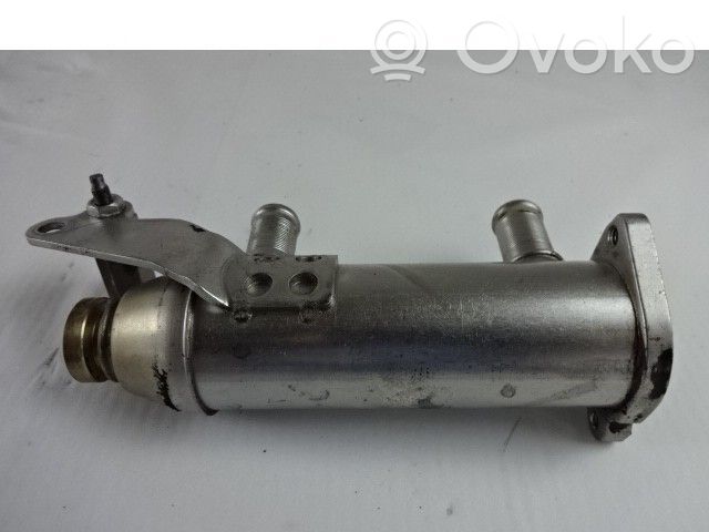 Citroen C6 Refrigerador de la válvula EGR 