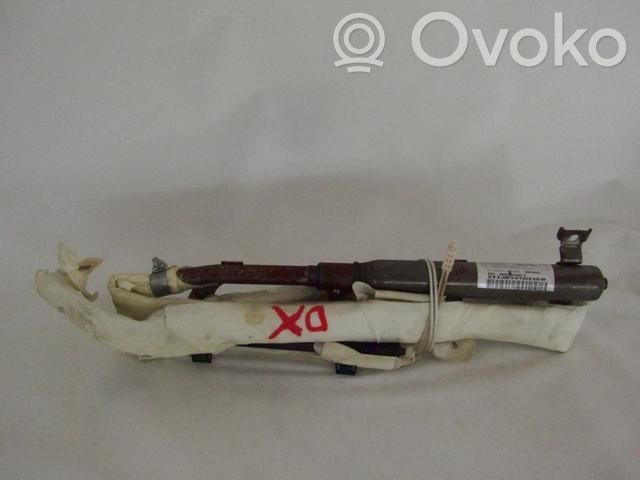 Airbag del techo   9653233480