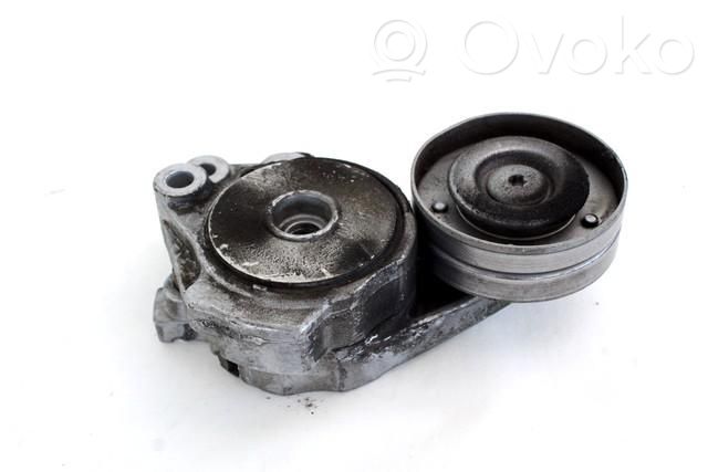 Volkswagen PASSAT B7 Napinacz paska alternatora 