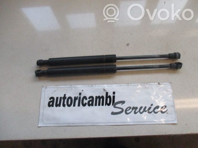 Amortizor capotă motor   51238202688