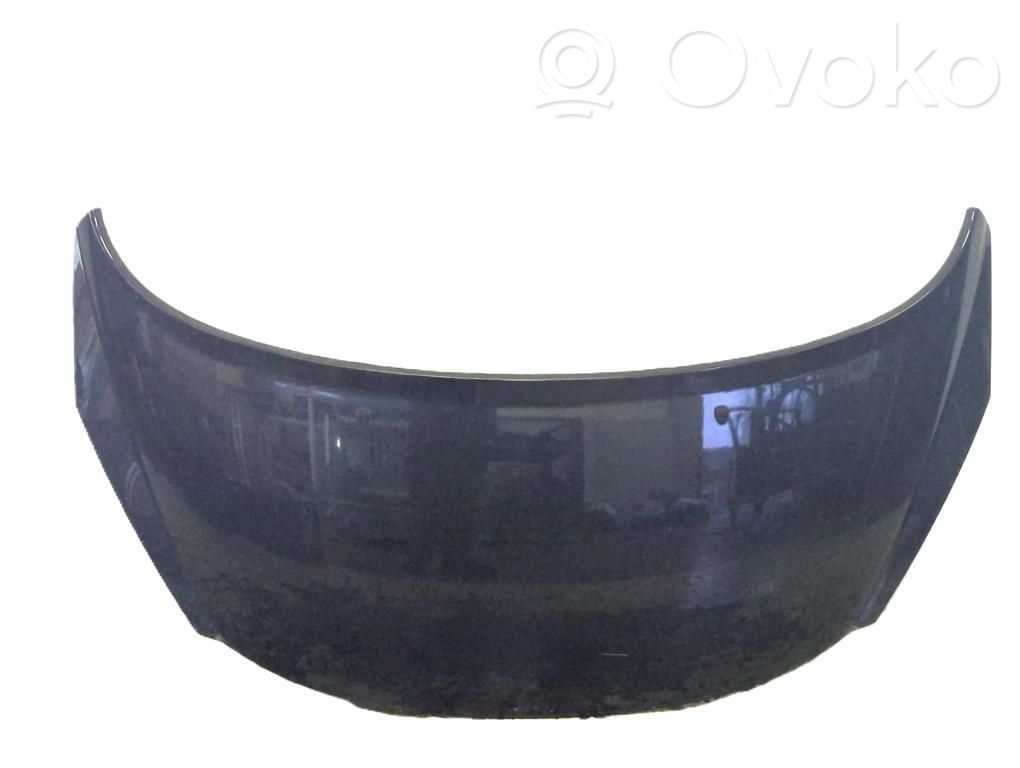 Motorhaube   7901N2