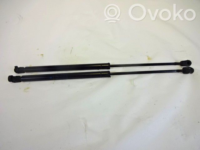 Mini One - Cooper R50 - 53 Ammortizzatore portellone anteriore/cofano 