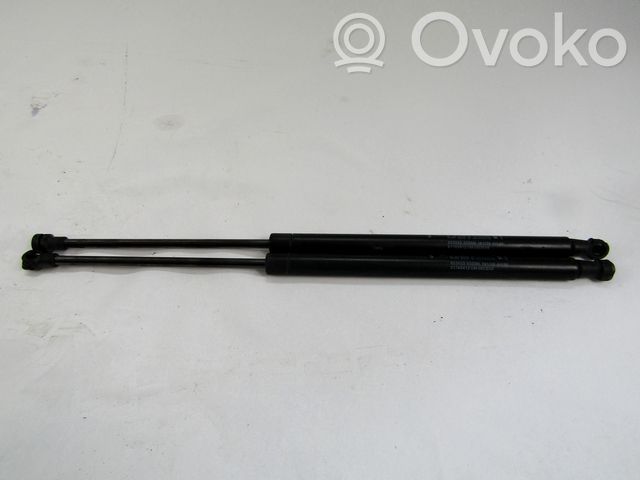 Fiat 500 Ammortizzatore portellone anteriore/cofano
