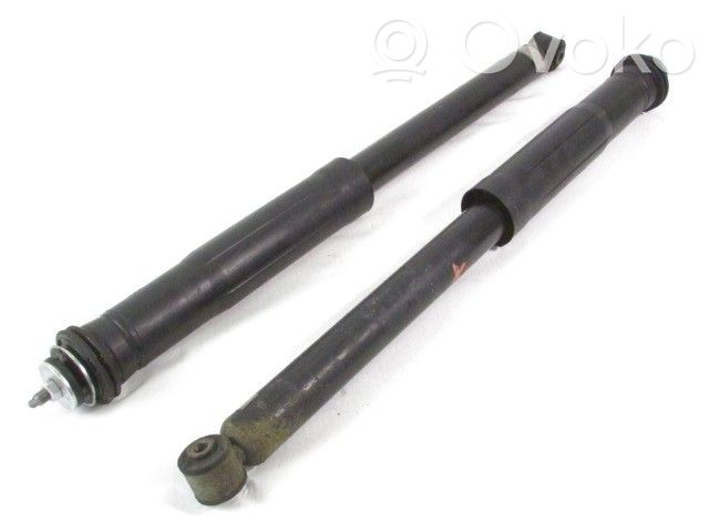 Amortizor spate   485300D180