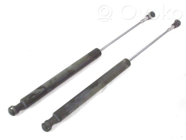 Renault Clio III Ammortizzatore portellone anteriore/cofano