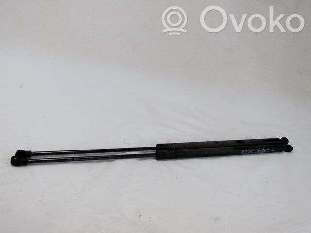 Renault Koleos I Amortiguador/puntal del capó/tapa delantero 