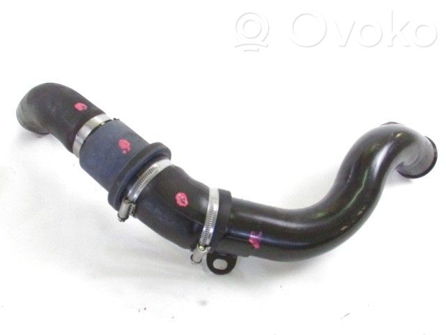 Ford Focus Intercooler hose/pipe 