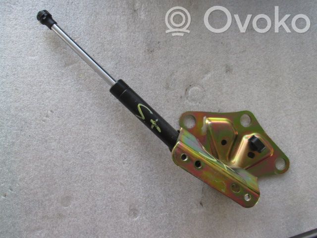 Citroen C3 Dachscharnier Verdeck 