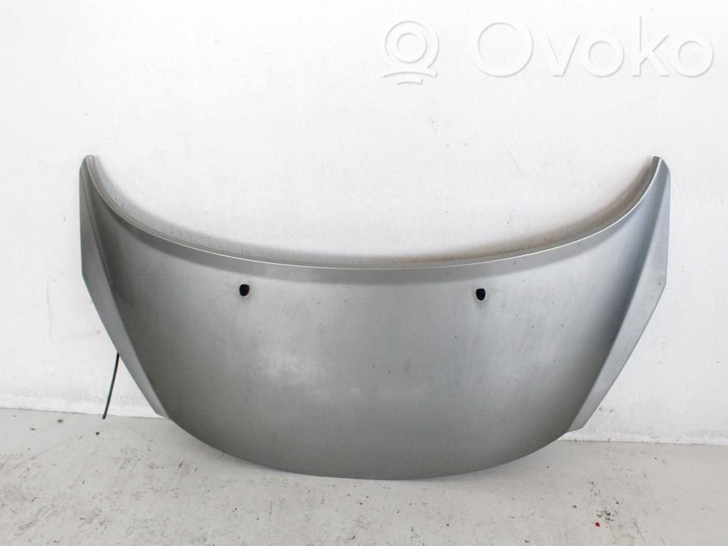 Motorhaube   7901N2