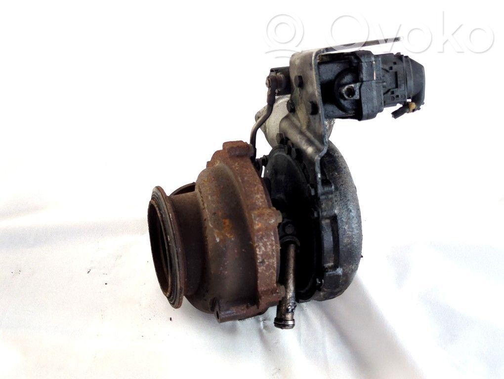 Turbo   7796313