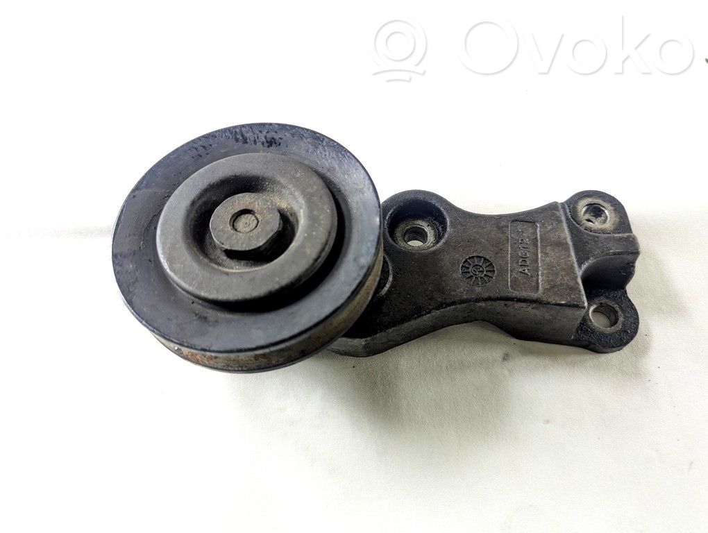 Audi Q8 Napinacz paska alternatora 