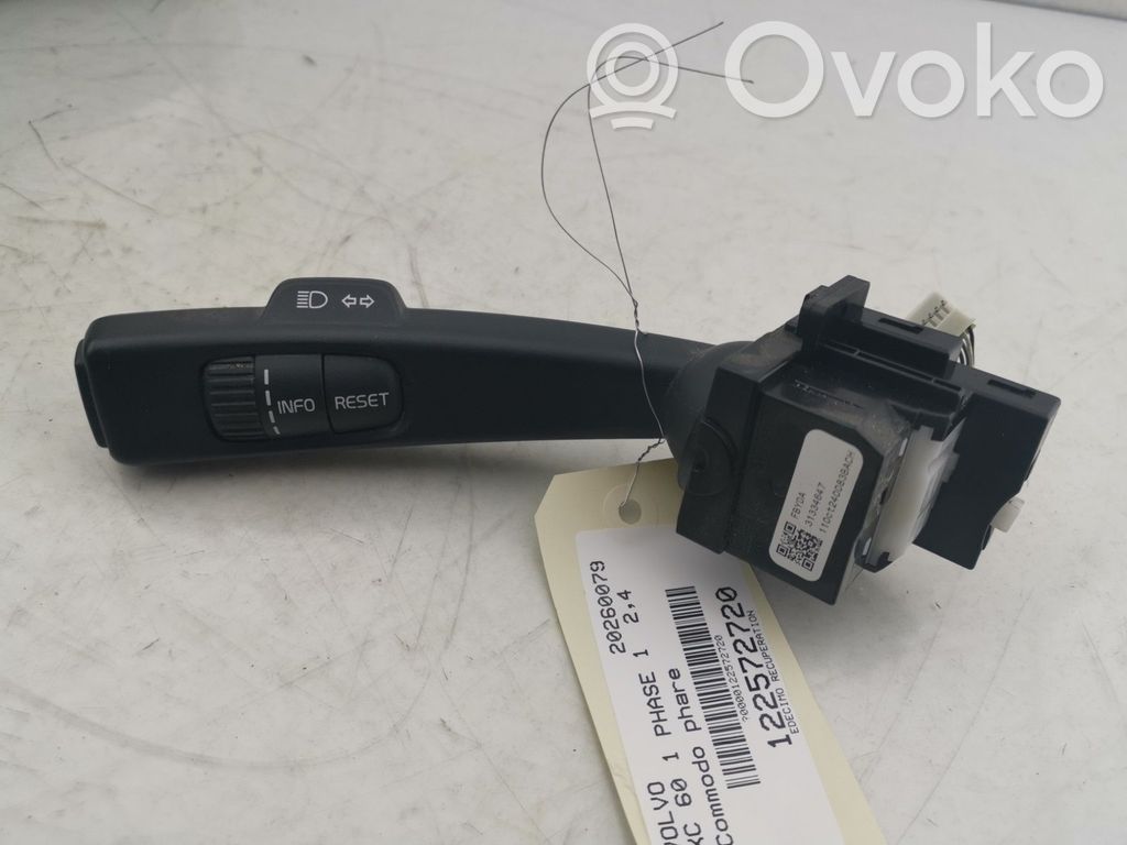 Indicator stalk   31334647