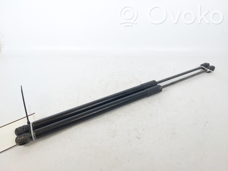 Ford Focus Rear window strut damper 