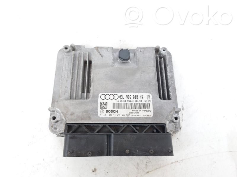 Engine control unit/module   0281017224,0281017224