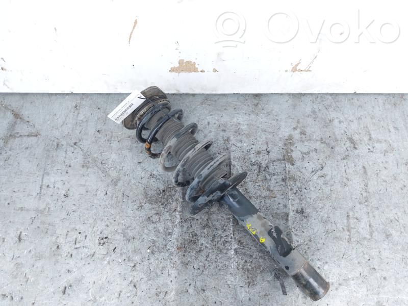 Land Rover Freelander 2 - LR2 Amortizor față 