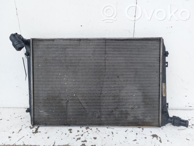 Volkswagen PASSAT B6 Heater blower radiator 