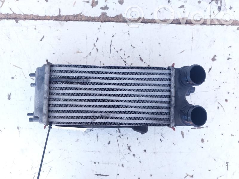 Ford Tourneo Intercooler radiator 