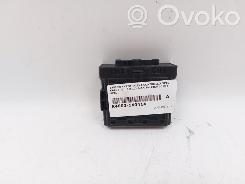Engine control unit/module   13598294,13598294