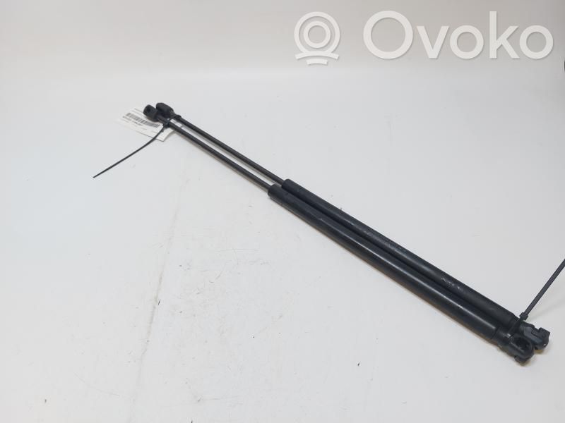 Lancia Ypsilon Rear window strut damper 
