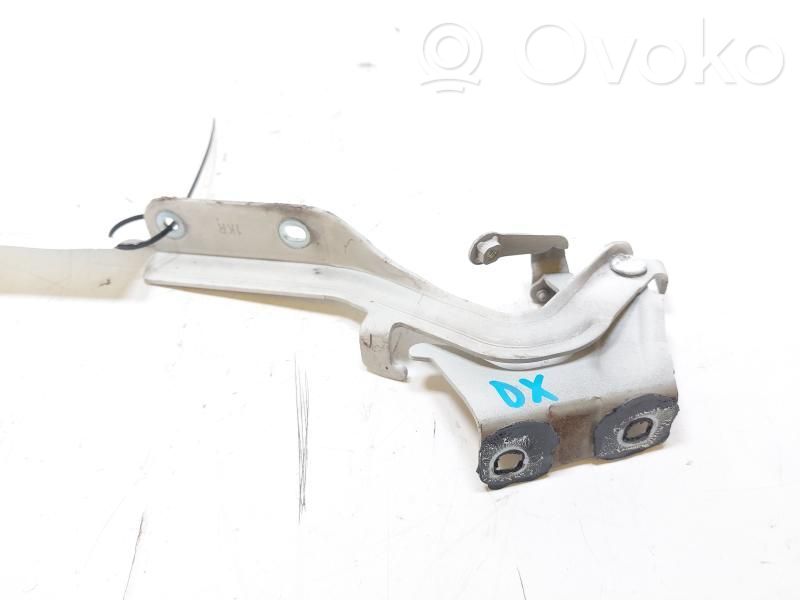 Nissan Juke I F15 Cerniere del vano motore/cofano 