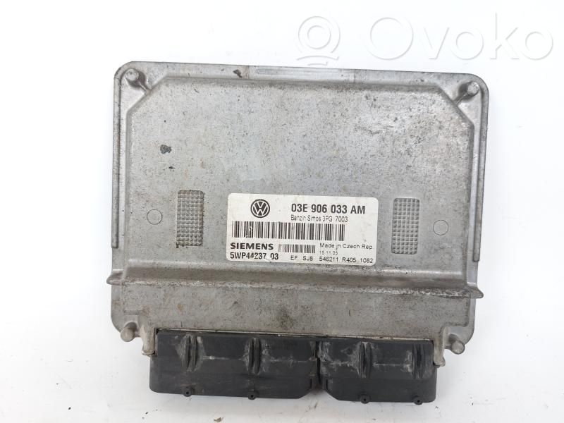 Seat Ibiza III (6L) Engine control unit/module 