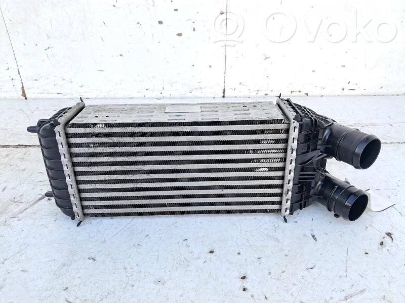 Chłodnica powietrza doładowującego / Intercooler   384N7,384N7