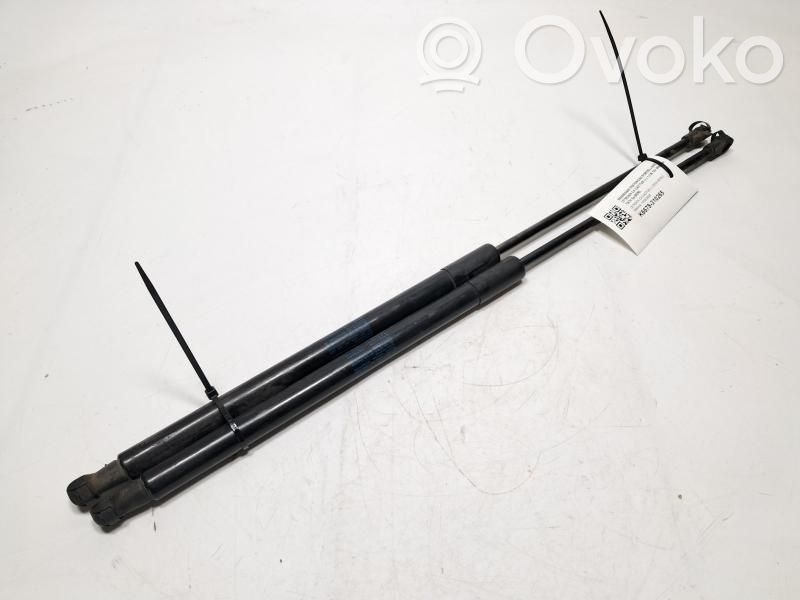 Citroen C4 Cactus Rear window strut damper 