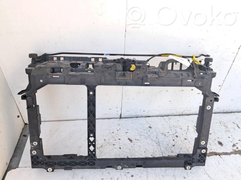 Ford Fiesta Radiatorių panelė 