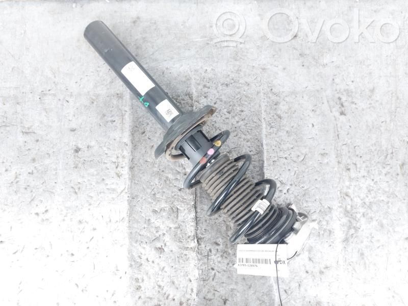 Stoßdämpfer vorne   1EA412021DN,1EA412021DN