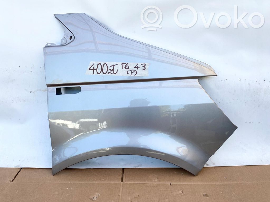 Guardabarro   7E0821196