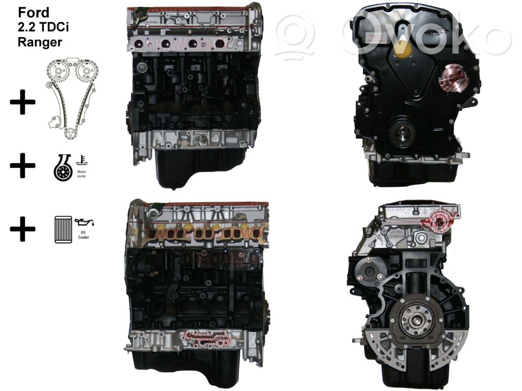 Motor   QW2R