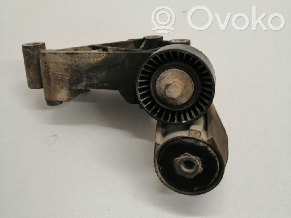 Ford Transit -  Tourneo Connect Întinzător curea alternator 