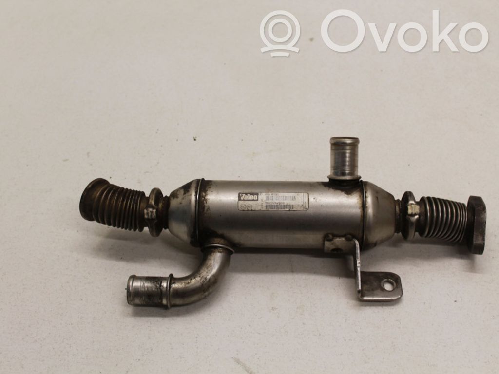 Citroen C5 Chłodnica spalin EGR 