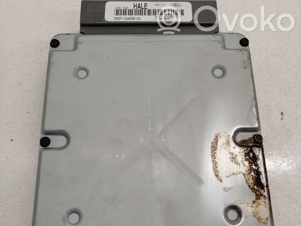 Ford Galaxy Engine control unit/module 