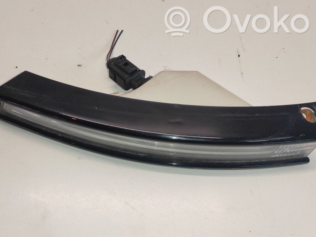 Volkswagen PASSAT B6 Frontblinker 
