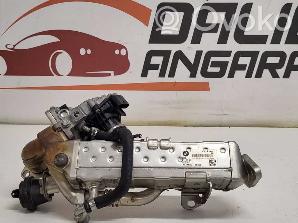 BMW 5 G30 G31 G38 Válvula EGR 