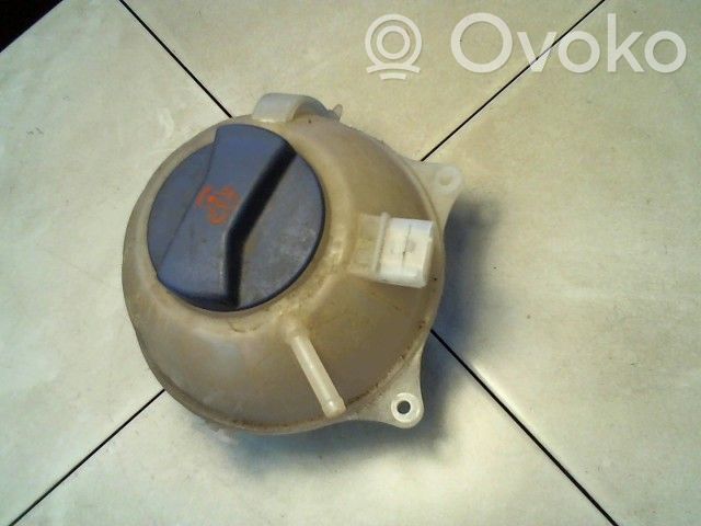 Volkswagen Polo IV 9N3 Vas expansiune/rezervor lichid de răcire