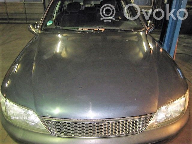 Opel Vectra B Capotă motor 
