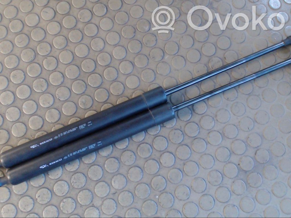 Renault Modus Tailgate/trunk strut/damper 