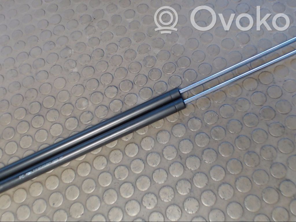 Tailgate/trunk strut/damper   1492653080,0000,8731G6