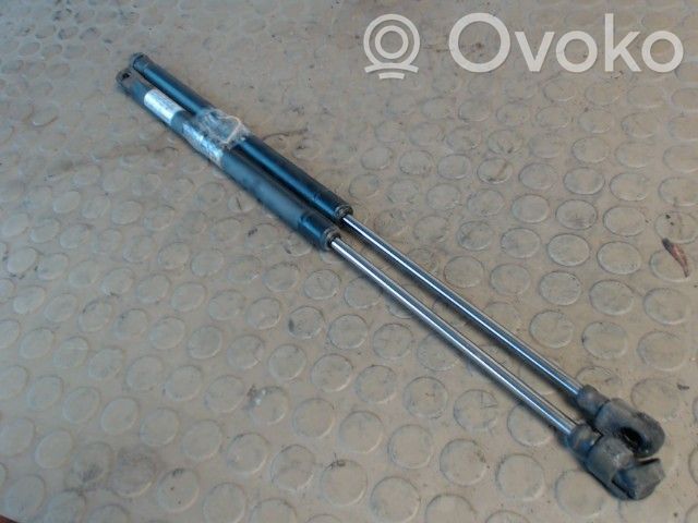 Amortizor hayon   96563503,0000