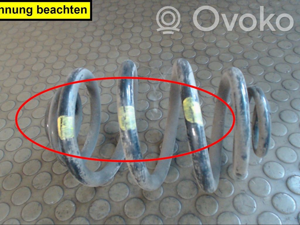Rear coil spring   0000