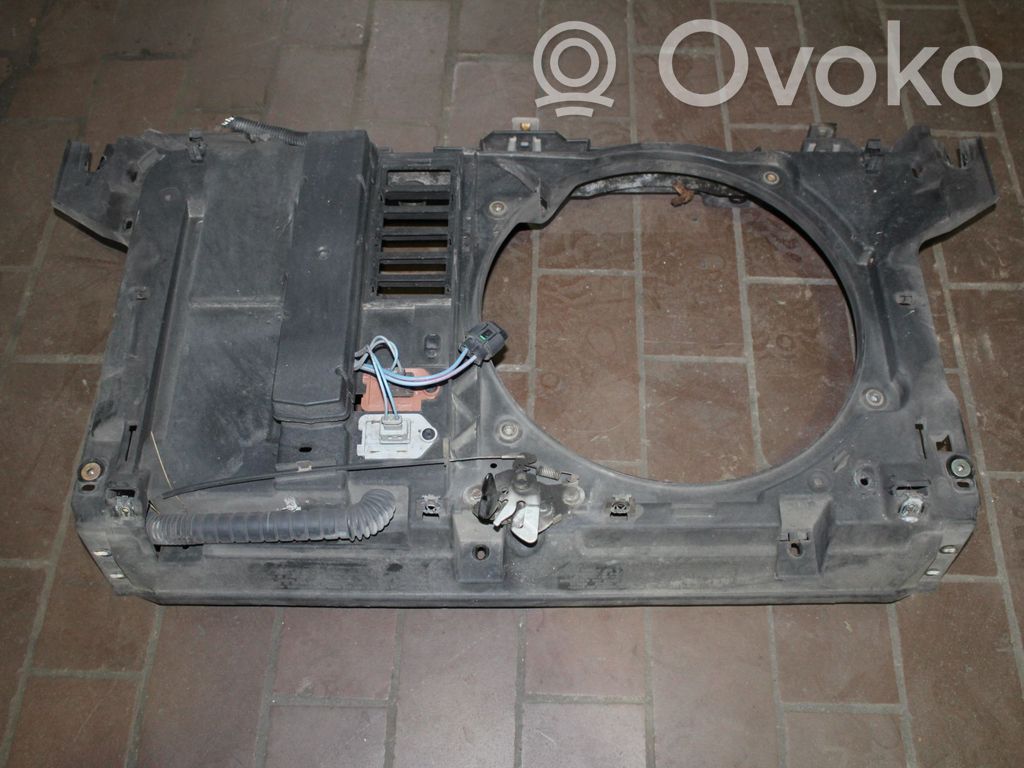 Citroen C5 Radiatoru paneļa augšējā daļa (televizors) 