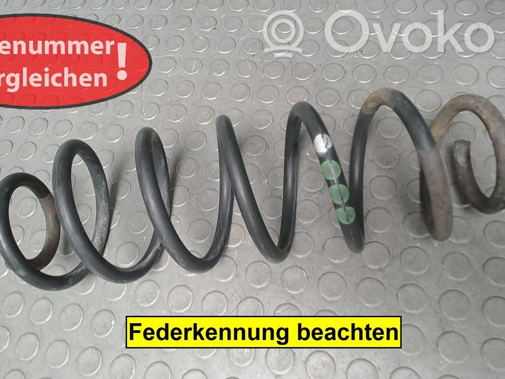 Volkswagen Bora Feder hinten 