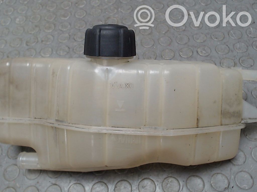 Renault Clio III Ausgleichsbehälter Kühlwasser 