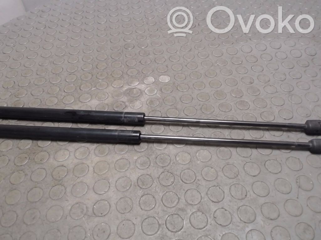 Tailgate/trunk strut/damper   3M51R406A10AB,1252806,1683725