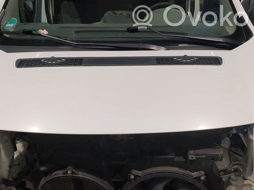 Peugeot Expert Vano motore/cofano 